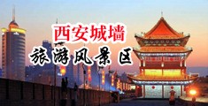 中国日韩美女操逼中国陕西-西安城墙旅游风景区